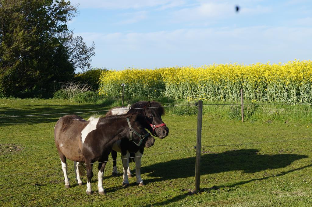 Lokken Farm Holiday Chambre photo